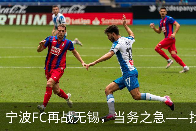 宁波FC再战无锡，当务之急——找到外援托莫维奇的使用说明书