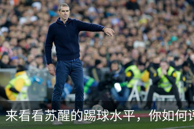 来看看苏醒的踢球水平，你如何评价？