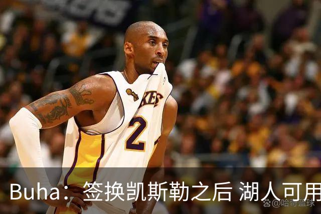 Buha：签换凯斯勒之后 湖人可用范德彪交易最高身价2150万的球员
